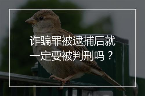 诈骗罪被逮捕后就一定要被判刑吗？