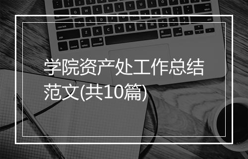 学院资产处工作总结范文(共10篇)