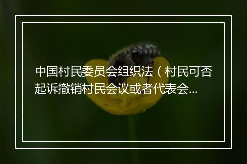 中国村民委员会组织法（村民可否起诉撤销村民会议或者代表会议决议？）