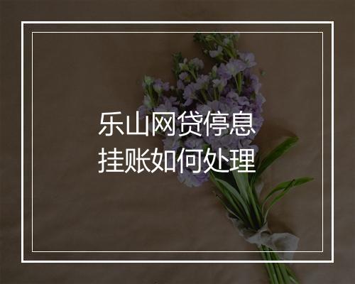 乐山网贷停息挂账如何处理
