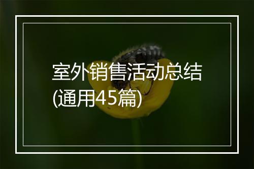 室外销售活动总结(通用45篇)