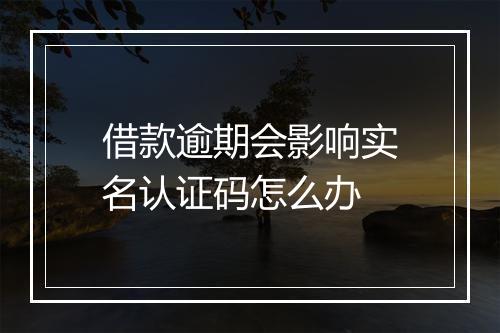 借款逾期会影响实名认证码怎么办