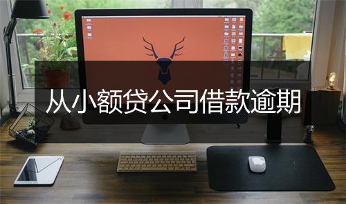 从小额贷公司借款逾期