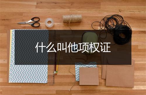 什么叫他项权证