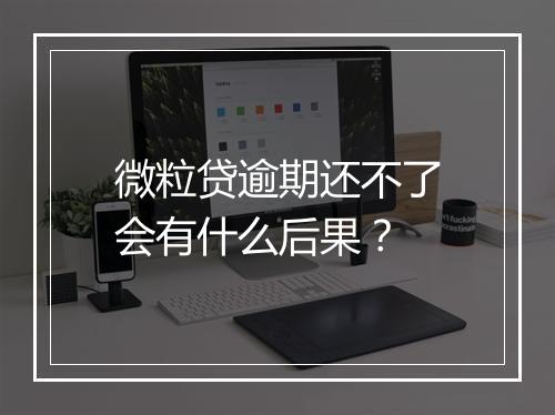 微粒贷逾期还不了会有什么后果？