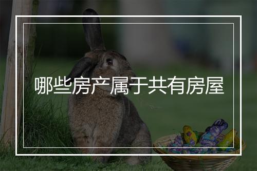 哪些房产属于共有房屋