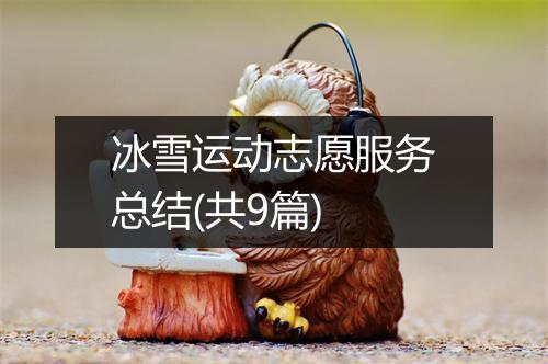 冰雪运动志愿服务总结(共9篇)