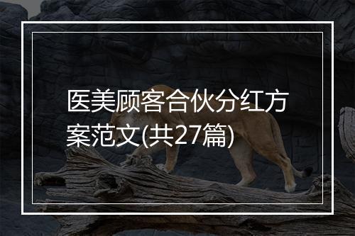 医美顾客合伙分红方案范文(共27篇)