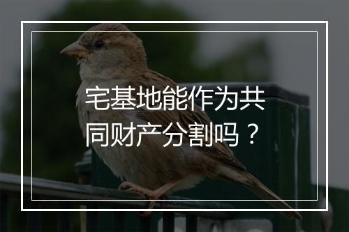 宅基地能作为共同财产分割吗？