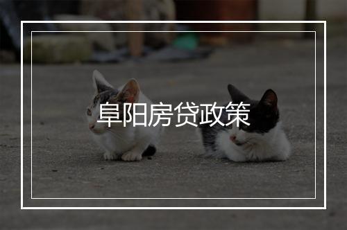 阜阳房贷政策