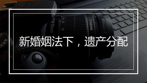 新婚姻法下，遗产分配
