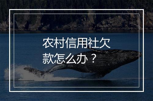 农村信用社欠款怎么办？