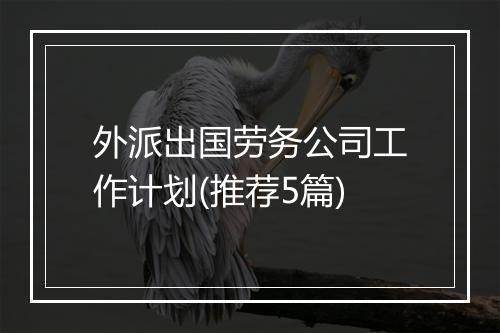 外派出国劳务公司工作计划(推荐5篇)