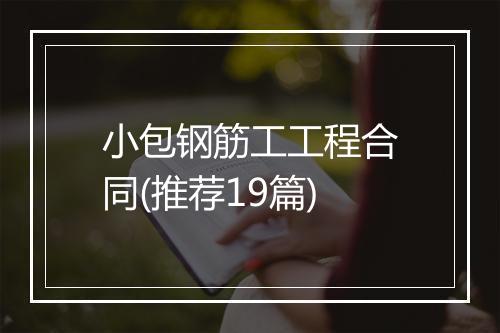 小包钢筋工工程合同(推荐19篇)