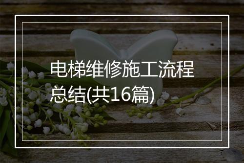 电梯维修施工流程总结(共16篇)
