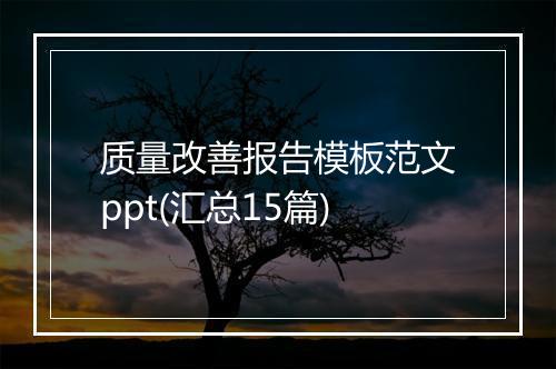 质量改善报告模板范文ppt(汇总15篇)