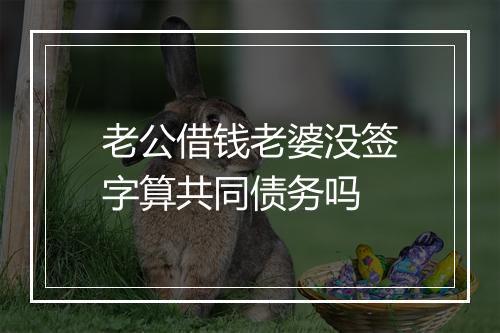 老公借钱老婆没签字算共同债务吗