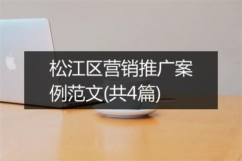 松江区营销推广案例范文(共4篇)