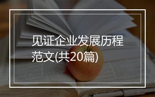 见证企业发展历程范文(共20篇)