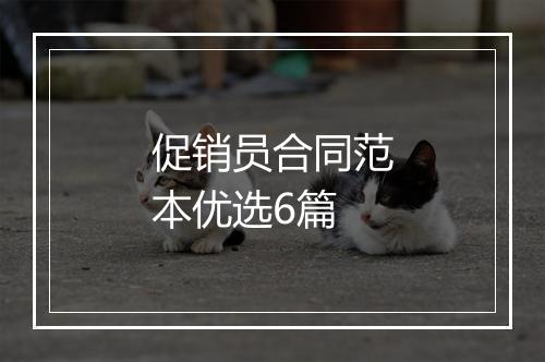 促销员合同范本优选6篇