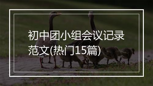 初中团小组会议记录范文(热门15篇)