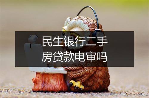 民生银行二手房贷款电审吗