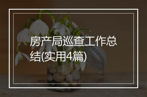 房产局巡查工作总结(实用4篇)