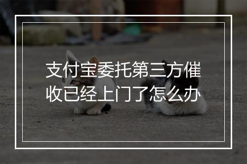 支付宝委托第三方催收已经上门了怎么办