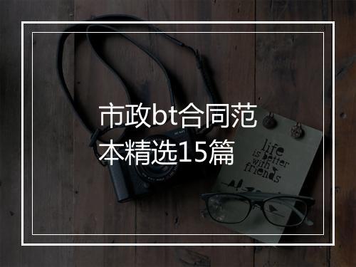 市政bt合同范本精选15篇