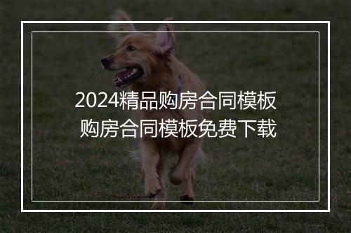 2024精品购房合同模板 购房合同模板免费下载