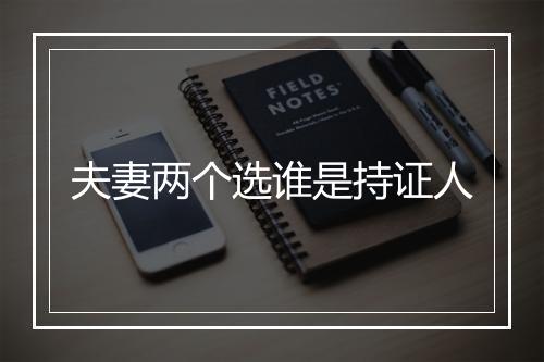 夫妻两个选谁是持证人