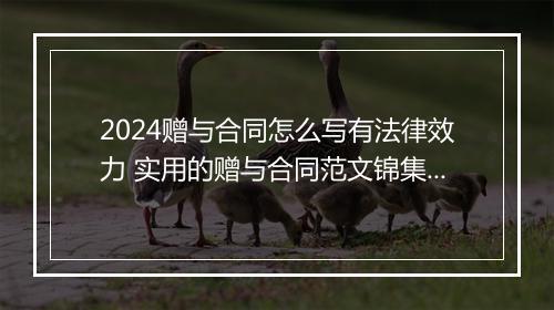 2024赠与合同怎么写有法律效力 实用的赠与合同范文锦集精品通用版8篇