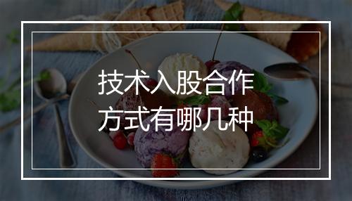 技术入股合作方式有哪几种