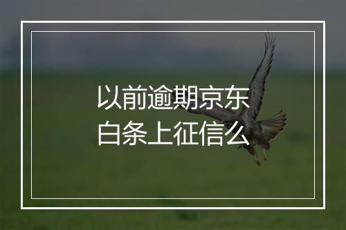 以前逾期京东白条上征信么