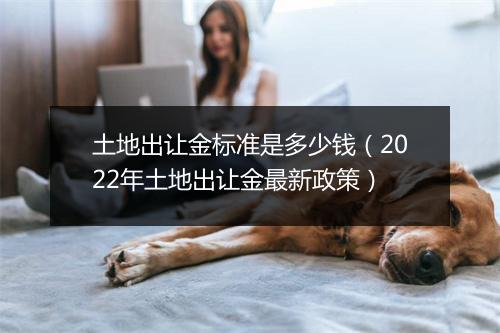 土地出让金标准是多少钱（2022年土地出让金最新政策）