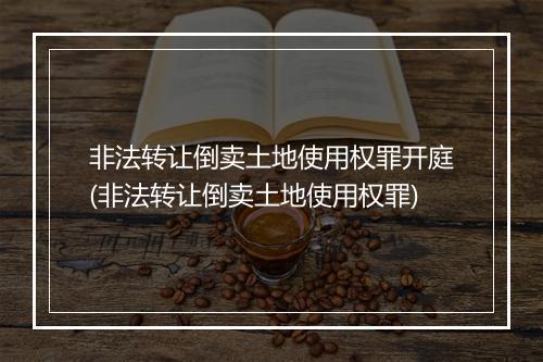 非法转让倒卖土地使用权罪开庭(非法转让倒卖土地使用权罪)