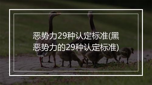 恶势力29种认定标准(黑恶势力的29种认定标准)