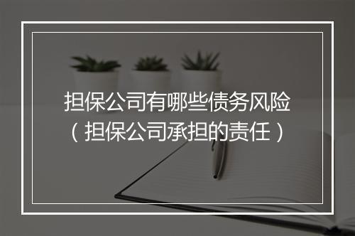 担保公司有哪些债务风险（担保公司承担的责任）