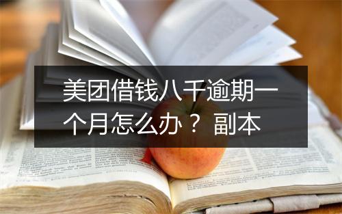 美团借钱八千逾期一个月怎么办？ 副本