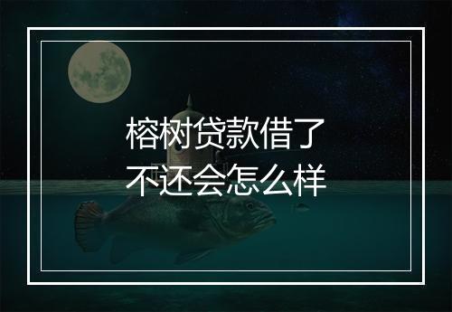 榕树贷款借了不还会怎么样