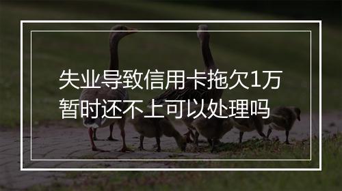 失业导致信用卡拖欠1万暂时还不上可以处理吗