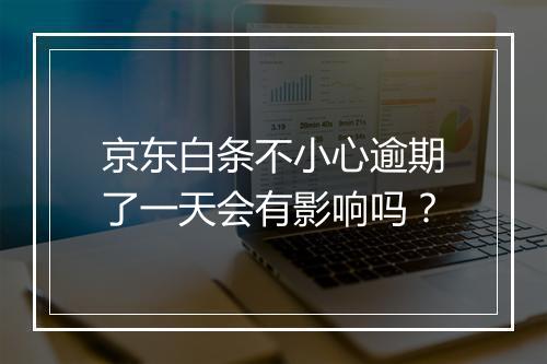 京东白条不小心逾期了一天会有影响吗？