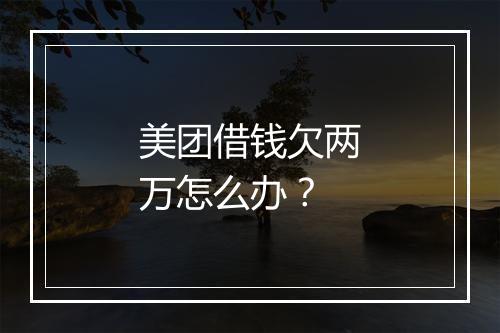 美团借钱欠两万怎么办？