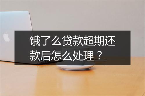 饿了么贷款超期还款后怎么处理？