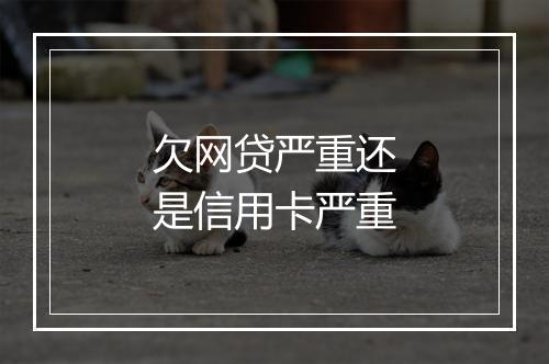 欠网贷严重还是信用卡严重