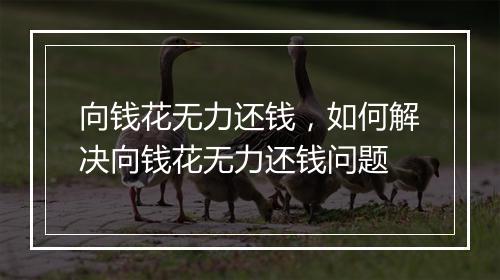 向钱花无力还钱，如何解决向钱花无力还钱问题