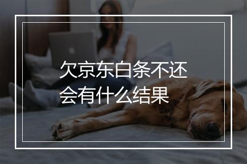 欠京东白条不还会有什么结果