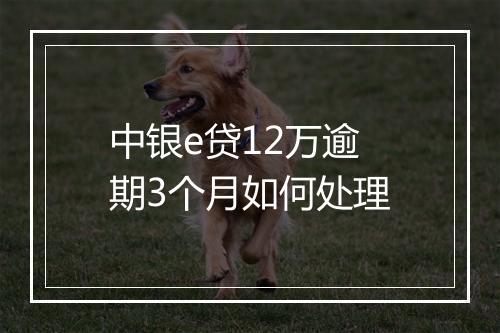 中银e贷12万逾期3个月如何处理