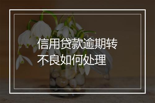 信用贷款逾期转不良如何处理