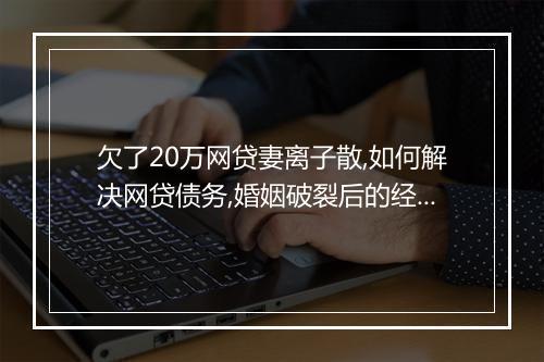 欠了20万网贷妻离子散,如何解决网贷债务,婚姻破裂后的经济救助方案